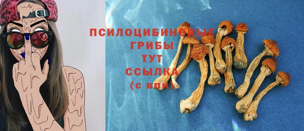 соль курить ск Медногорск