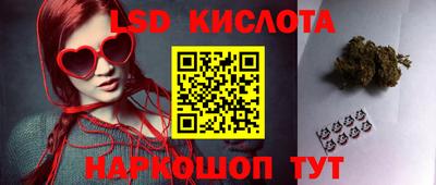 2c-b Камышлов