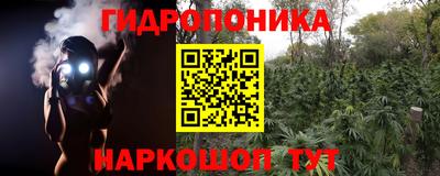 дмт Кандалакша