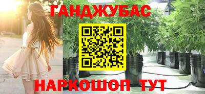 дмт Кандалакша