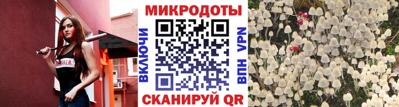 Галлюциногенные грибы Cubensis  закладки  Строитель 