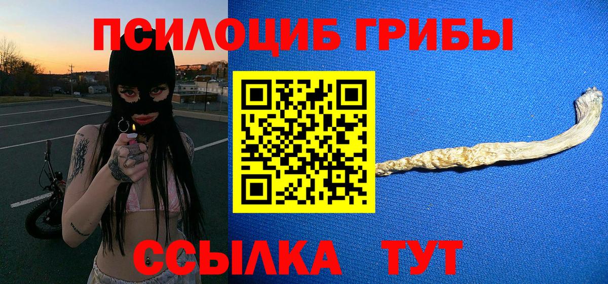 Строитель  цены наркотик  Вход с VPN  Псилоцибиновые грибы мухоморы 