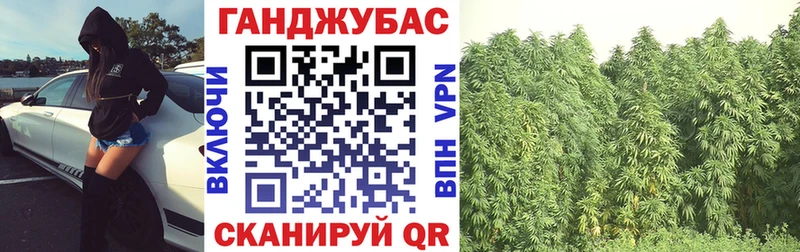 Канабис конопля  Строитель 